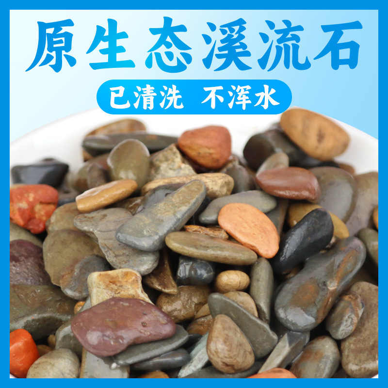 原生鱼缸造景底砂溪流石