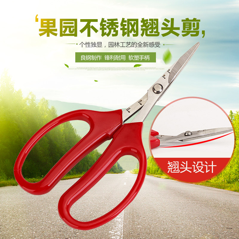 园林翘头园艺剪采果剪刀指定款蔬果剪葡萄桔子剪柑橘采摘剪
