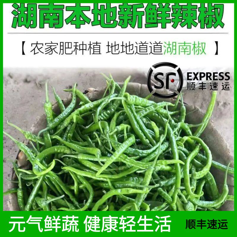 湖南农家软皮辣椒【顺丰包邮】