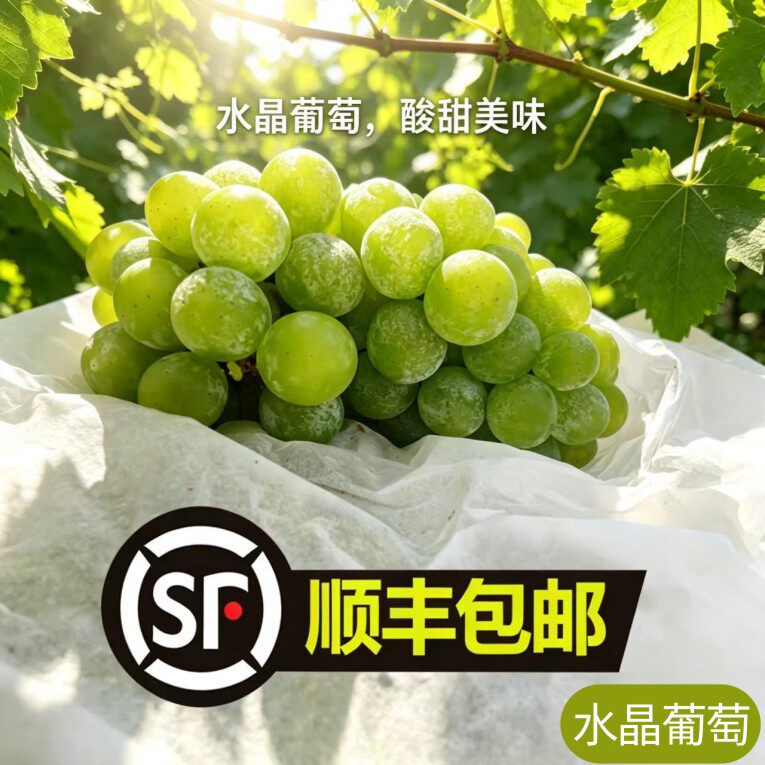 【顺丰包邮】水晶葡萄新鲜青葡萄绿葡萄自带玫瑰香水果无籽