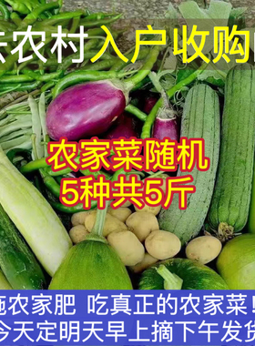 湖南农家自种新鲜蔬菜时令当季农家菜天然绿色食品自选混搭5斤装