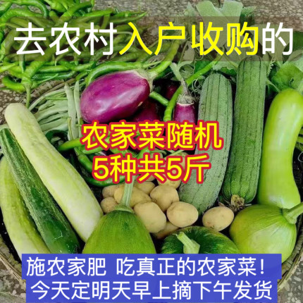 湖南农家自种新鲜蔬菜时令当季农家菜天然绿色食品自选混搭5斤装