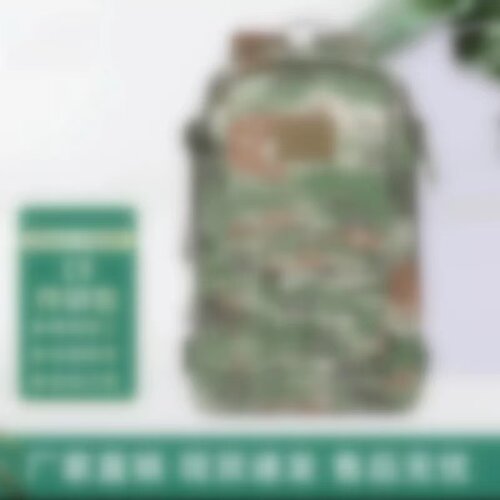 户外新式正品P21-作训包E19N背囊战术突击双肩迷彩背包单作训包背
