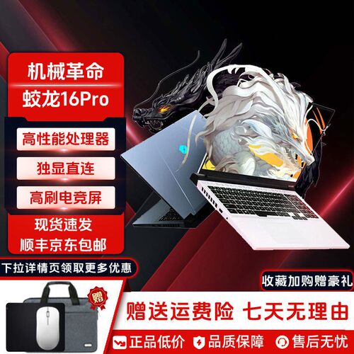 MECHREVO/机械革命 翼龙 15Pro/蛟龙16Pro 独显满血4060电竞高刷