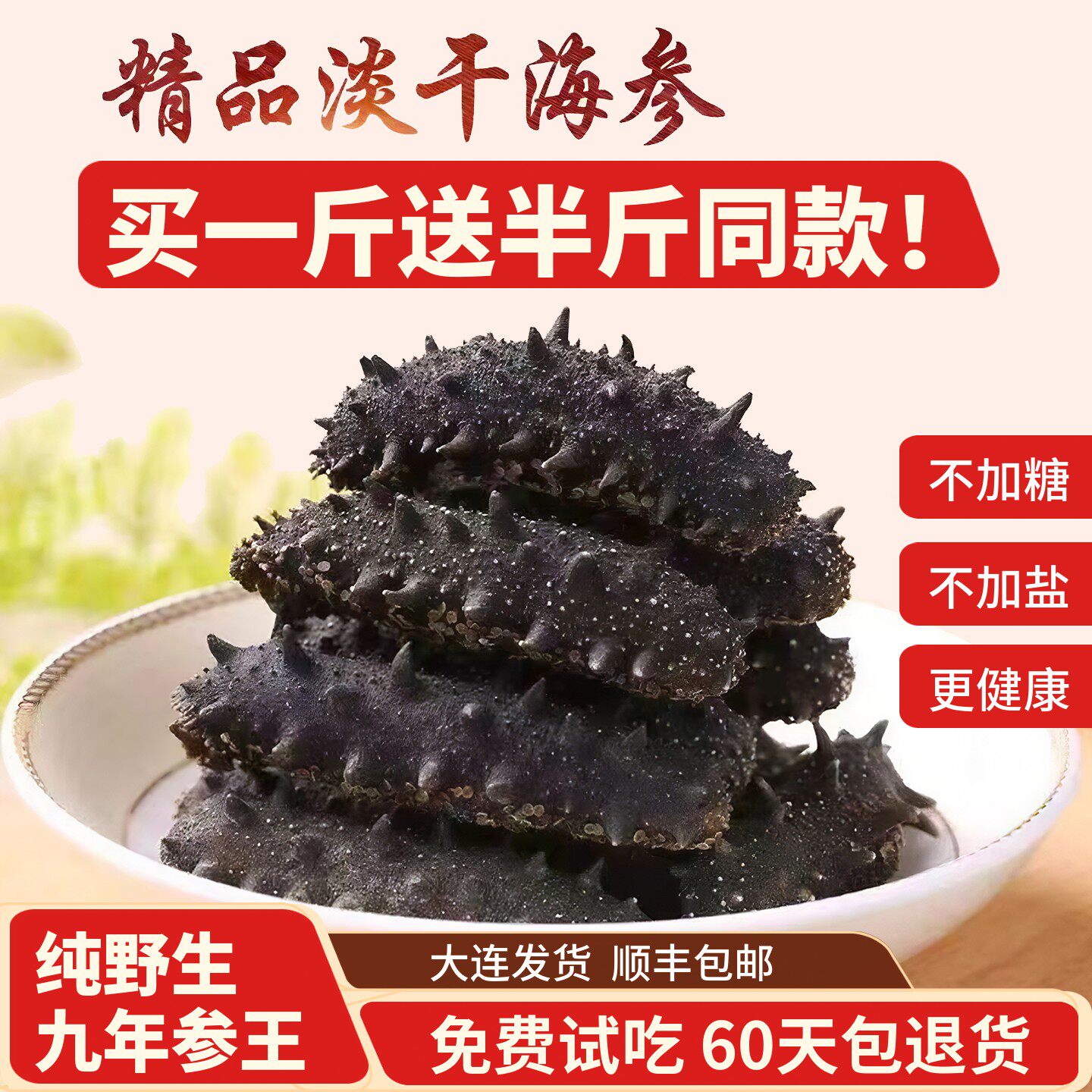 淡干海参 正宗大连野生海参干货500g 40至60头深海辽刺参孕妇礼盒