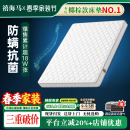 禧海马偏硬护脊环保棕榈儿童老人乳胶定制黄麻棕防螨抑菌椰棕床垫