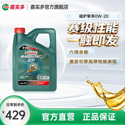 嘉实多磁护挚享SPGF-60W-204L