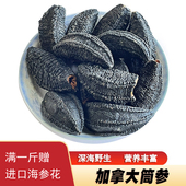 加拿大 筒红极参 野生淡干北冰洋海筒红极参