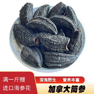 加拿大[筒红极参]野生淡干北冰洋海筒红极参