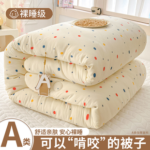 双层纱大豆被软糯保暖被子家用冬被2025新款 学生宿舍单人加厚被芯