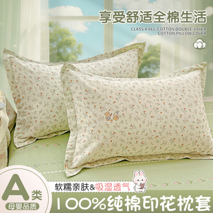 全棉枕头套一对装2026新款纯棉48cmx74cm枕套单个家用枕芯内胆套