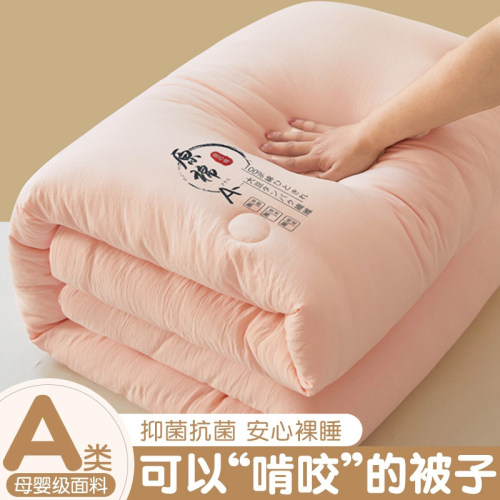 【-20摄氏度】被子A类抗菌通用