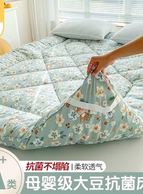 床垫家用卧室软垫床褥垫加厚褥子垫被铺底宿舍单人租房专用垫子