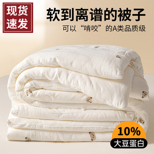 A类双层纱大豆纤维被子夏凉被春秋被芯单双人四季 空调被加厚冬被