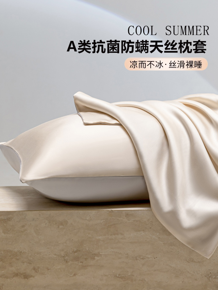A类天丝枕套2025新款丝滑凉感夏季凉枕头套家用一对装枕芯内胆套