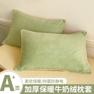 48cmx74cm枕头套单个枕头芯内胆套2025新款 冬季 牛奶绒枕套一对装