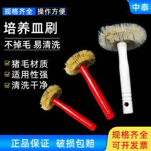 实验室玻璃培养皿刷平皿刷猪毛刷大号中号小号毛刷实验室软毛刷