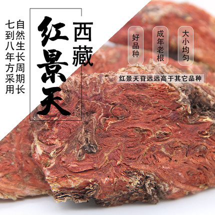西藏大花红景天中药材去皮红景天大块老根泡茶泡酒抗高反特级正宗