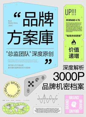 品牌方案库3.0升级版全流程设计素材独家原创设计师审美思维进阶