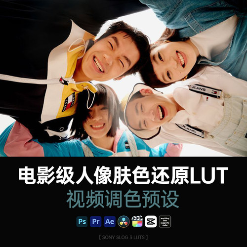 热门电影级肤色还原LUT套装