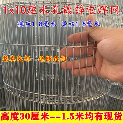 加密镀锌1x10厘米小长孔电焊网片养殖围栏网鸟鸽兔狗笼仓鼠笼底网