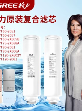 格力净水器滤芯WTE-PT60-2051/2057/2061 复合PCB RO反渗透滤芯