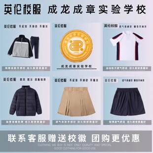 【校徽校服】香江水岸成龙成章实验学校 T恤短袖运动服