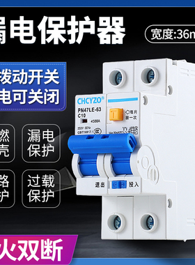 漏电保护器 双线空开带漏保 2P断路器220V 短路保护 家用空气开关