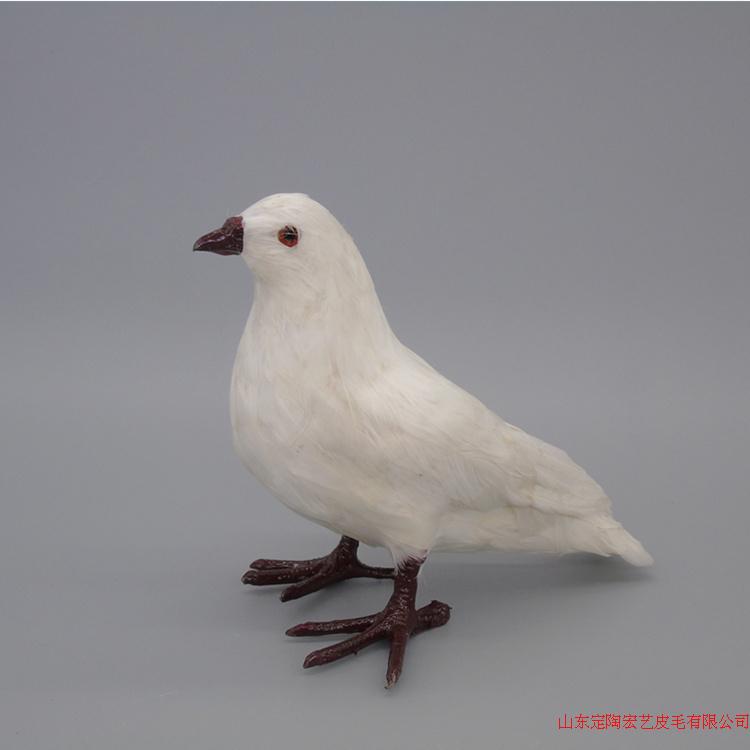 仿真摆件橱窗道具动物模型和平鸽