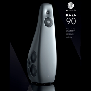 Vivid  K90 落地喇叭 家用HIFI发烧音箱 KAYA