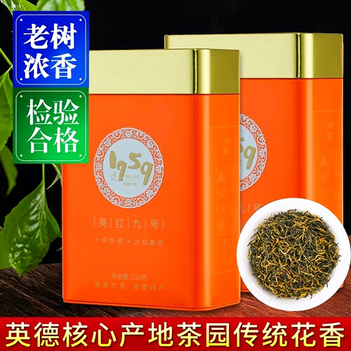 英德红茶浓香型春茶英红九号