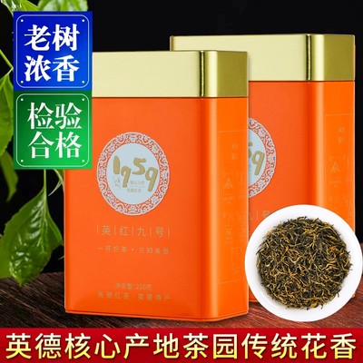 英德红茶浓香型春茶英红九号