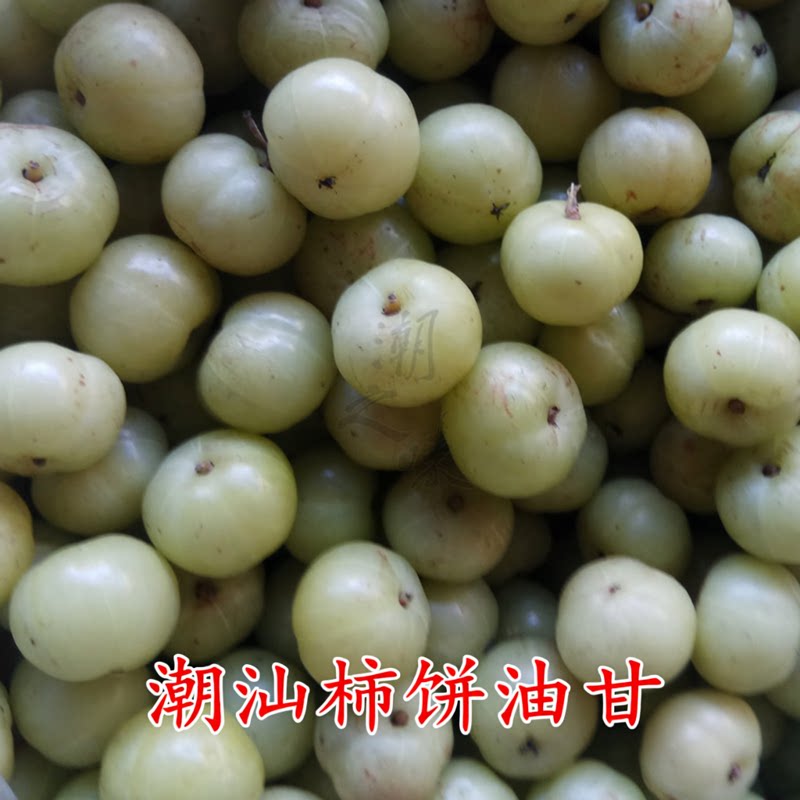 现摘新鲜柿饼甜种油甘果油甘子酸涩度低余甘子滇橄榄油柑果500g