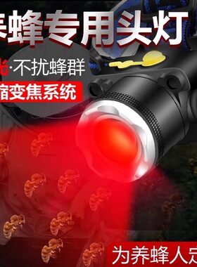 红光养蜂专用头灯查蜂取蜜蜜蜂灯头戴式手电筒调焦红白双光源