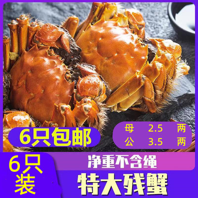残蟹大闸蟹兴化高性价比中秋