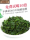 Huiju Весна и осень 2025 Anxi Tieguanyin Новый ароматный чай Премиум-класса на фестивале середины осени Подарочная коробка для чайных листьев Улун mini 2