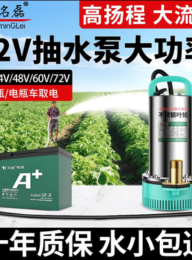 12V抽水泵大功率24伏直流潜水泵48v60v72v电动车电瓶车专用水泵机