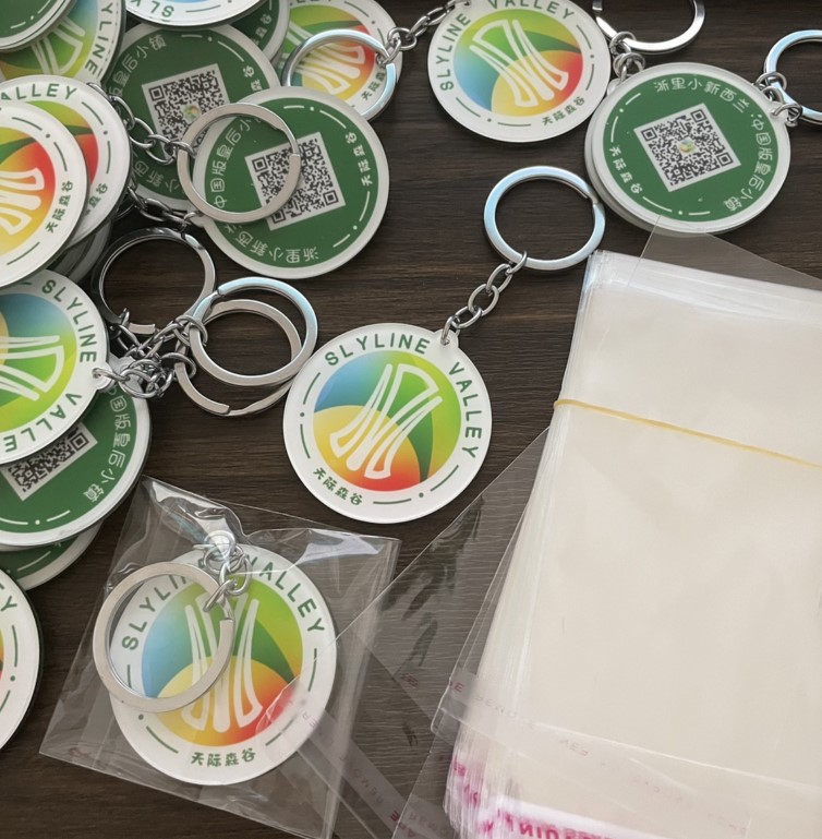 双面亚克力校徽logo钥匙扣定制做