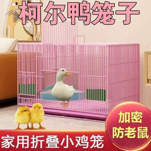 柯尔鸭专用室内加密防臭鸭笼