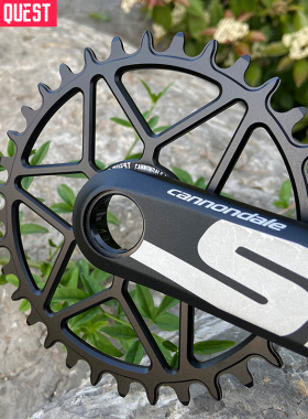 适用佳能戴尔PASS QUEST直装正负齿牙盘cannondale SL SISL改单盘