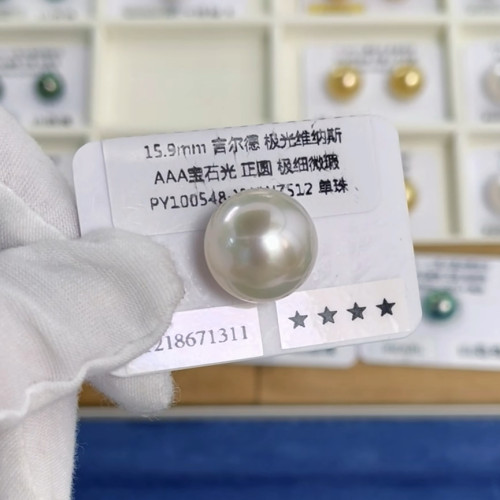 15.9mm吉尔德四星维纳斯单珠（新品）