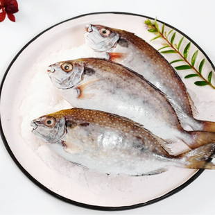 开肚泥猛 400g 自家渔船海捕新鲜泥猛鱼开肚冰鲜刺篮子鱼娘艾鱼