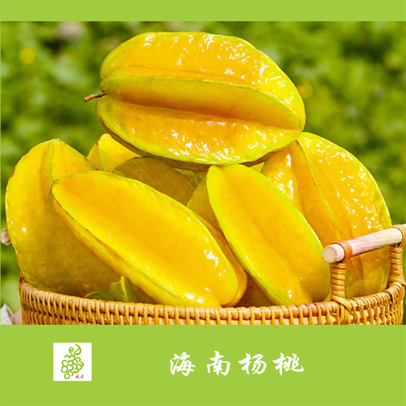 海南树上熟杨桃5斤装8-11粒 当季新鲜土特产产地直发地理标志产品图片