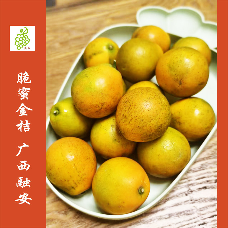 特级脆蜜金桔3斤/大号礼盒装 桔子