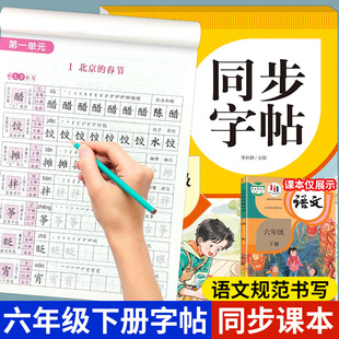 六年级下册练字帖语文同步字帖配套人教版每日一练天天 小学六年级字帖练字小学生专用6年级下生字描红练习笔顺笔画