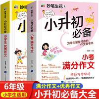 小升初满分作文2024人教版 六年级小学生分类小升初作文书优秀作文大全6年级小考素材小学版模板四五年级必读的课外书高分范文