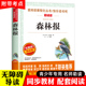 四年级阅读课外书 青少年经典 名著 森林报正版 快乐读书吧4年级下册故事绘本全套全集正版 儿童故事书小学生课外阅读书籍读物