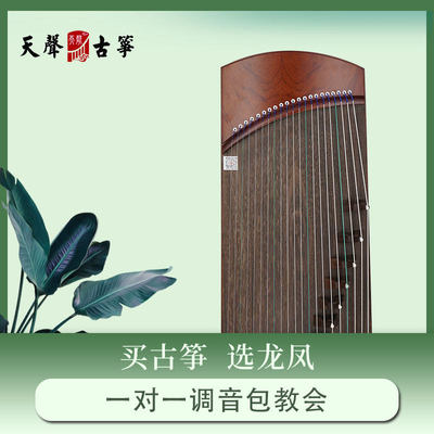 古筝天声系列TS-505玲珑小筝1.23米初学考级演奏琴筝