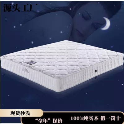 弹簧床垫子椰棕棕簧两用