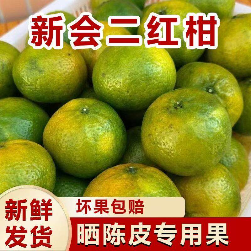 【晒陈皮必用】现摘广东新会大青二红大红茶枝柑现摘陈皮柑陈皮果